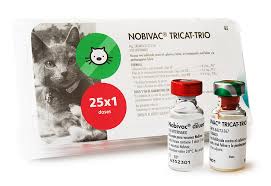 NOBIVAC TRICAT x 1 ds