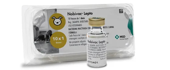 NOBIVAC LEPTO x 1 ds