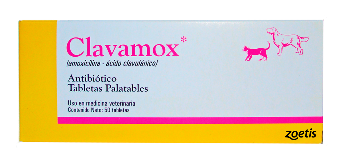 CLAVAMOX TAB 250 MG x 50 comp