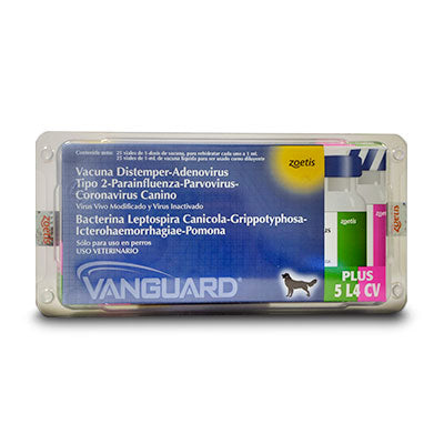 VANGUARD PLUS 5 L4 CV x 1 ds