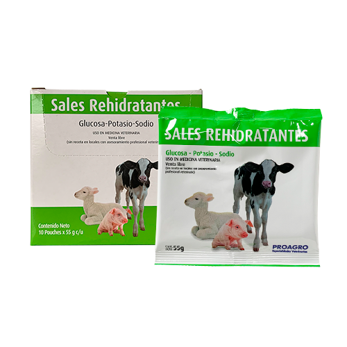 SALES REHIDRATANTES G.A. 10 sobres x 55 grs