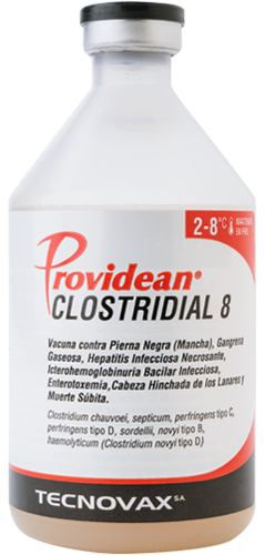 PROVIDEAN CLOSTRIDIAL 8 x 60 ds