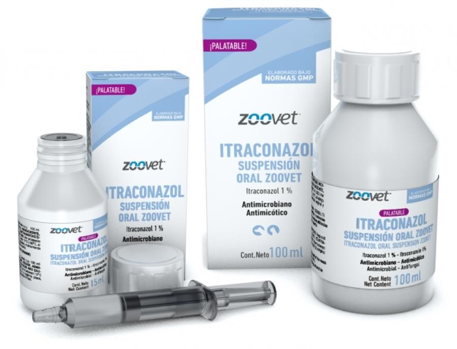 ITRACONAZOL SUSP ORAL x 15 ml