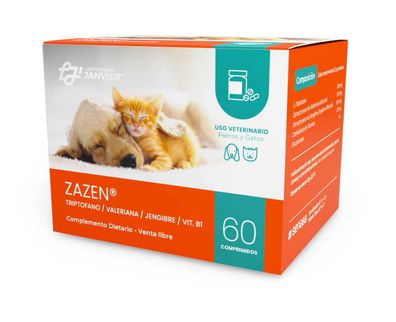 ZAZEN x 60 comp