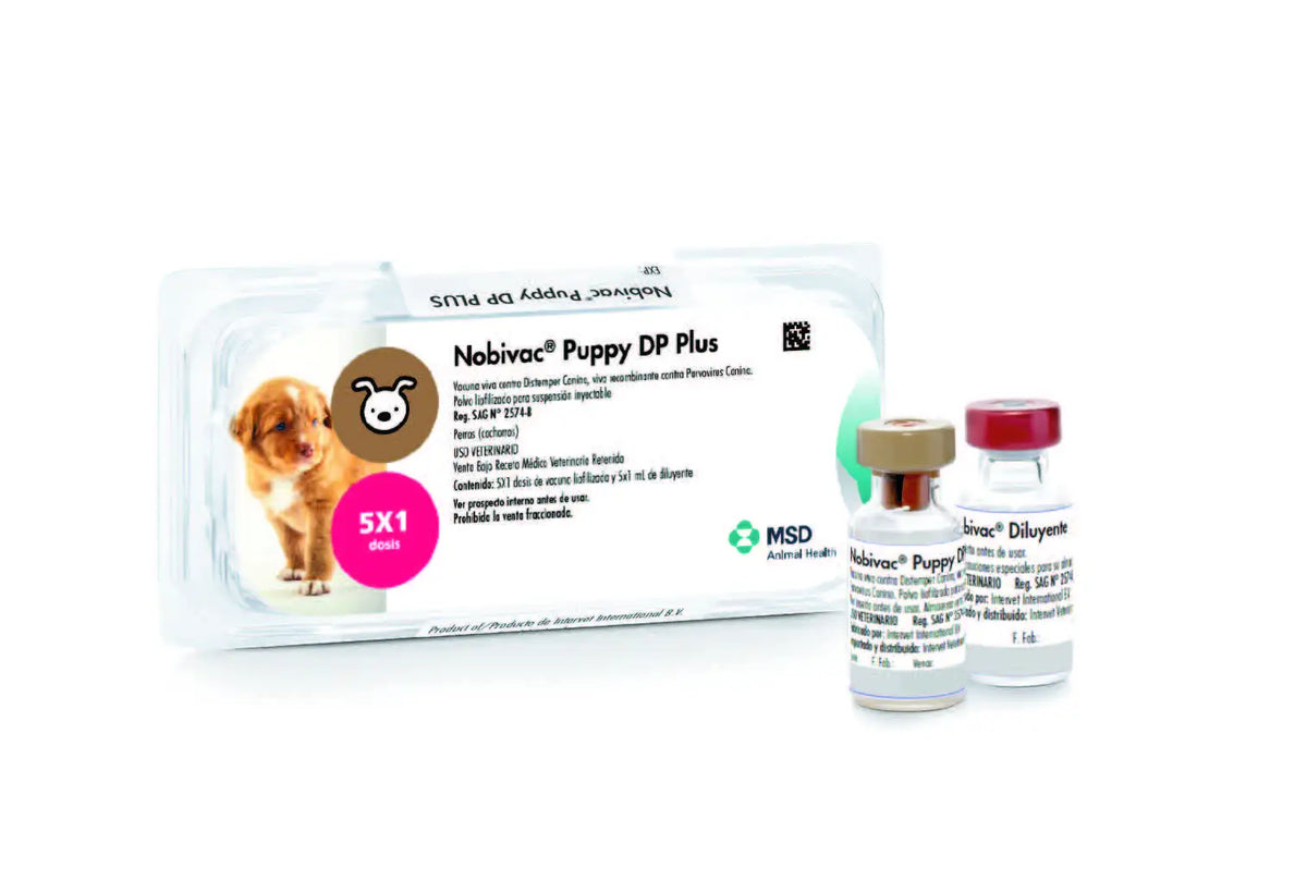 NOBIVAC PUPPY DP PLUS x 1 ds