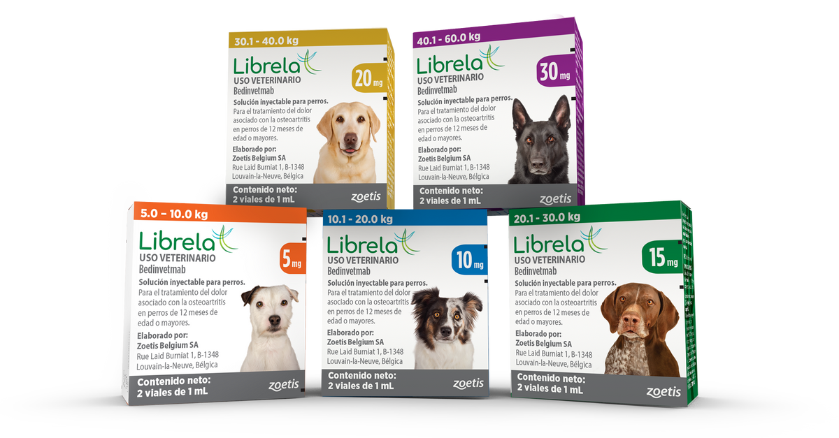 LIBRELA SOL. 20 mg (30 a 40 Kgs) 2 V x 1 ml