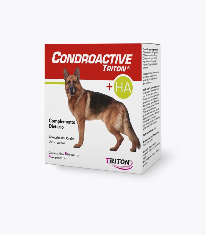 CONDROACTIVE x 32 comp