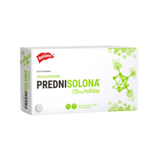 PREDNISOLONA HOLLIDAY 20 MG 30 blisters x 10 comp