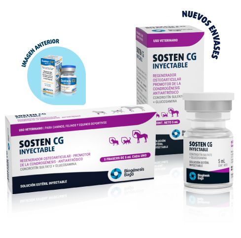 SOSTEN CG iny  5 x 5 cc