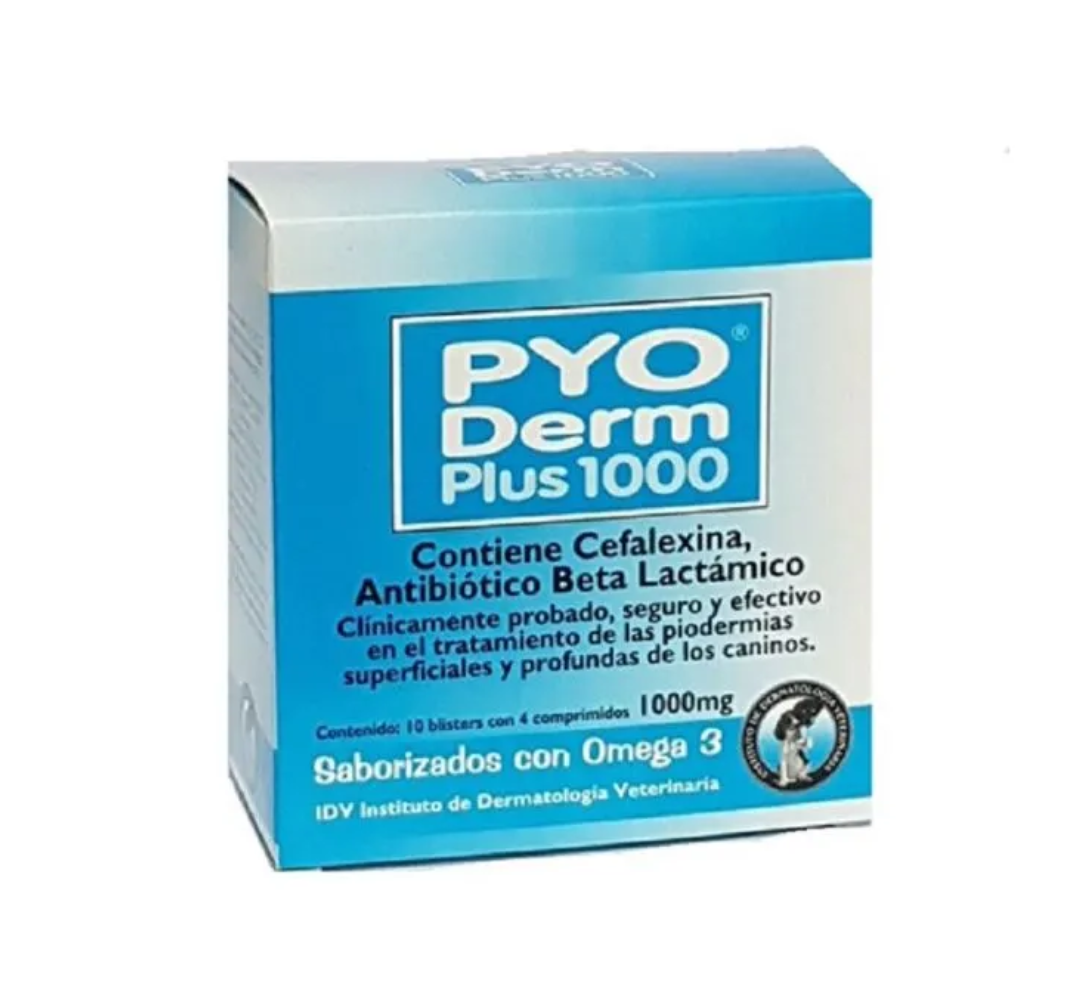 PYO DERM PLUS 1000 x 40 comp