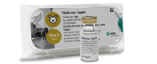 NOBIVAC LEPTO x 1 ds