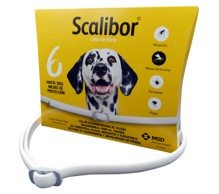 SCALIBOR COLLAR x 65 cm