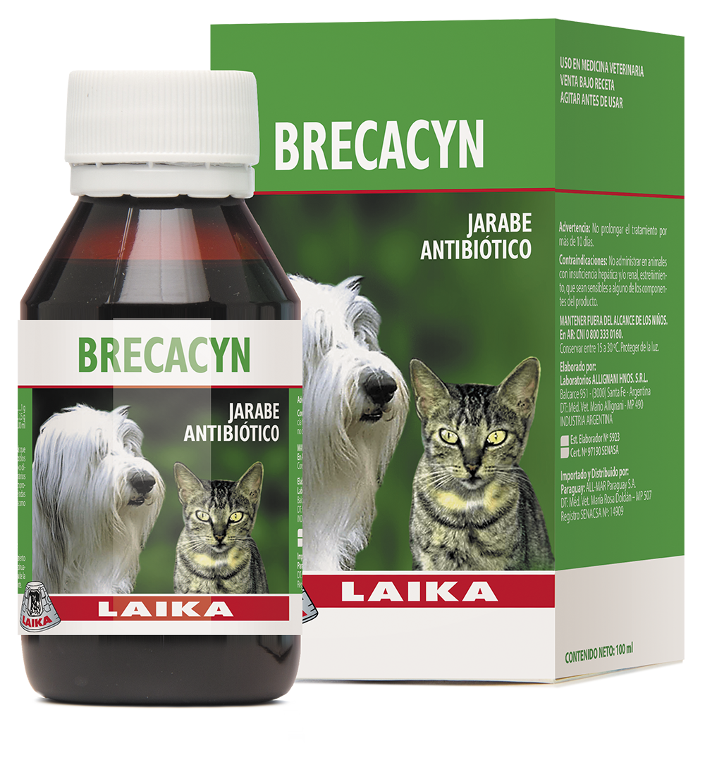 BREKACYN JARABE x 100 ml