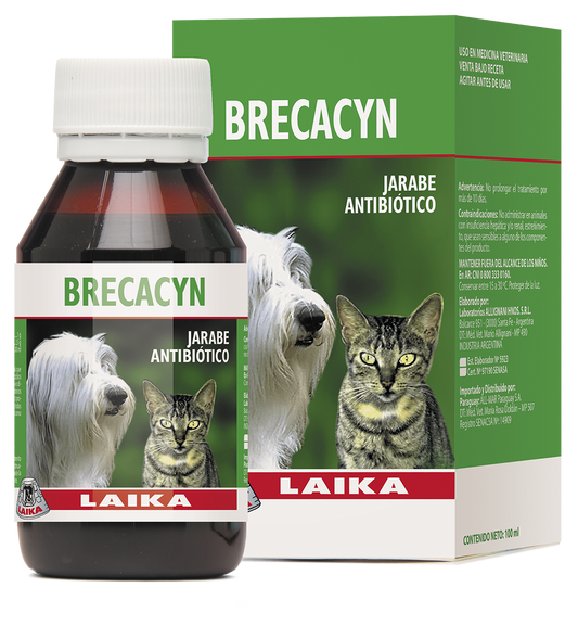 BREKACYN JARABE x 100 ml