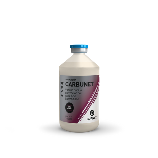 CARBUNET x 125 ds