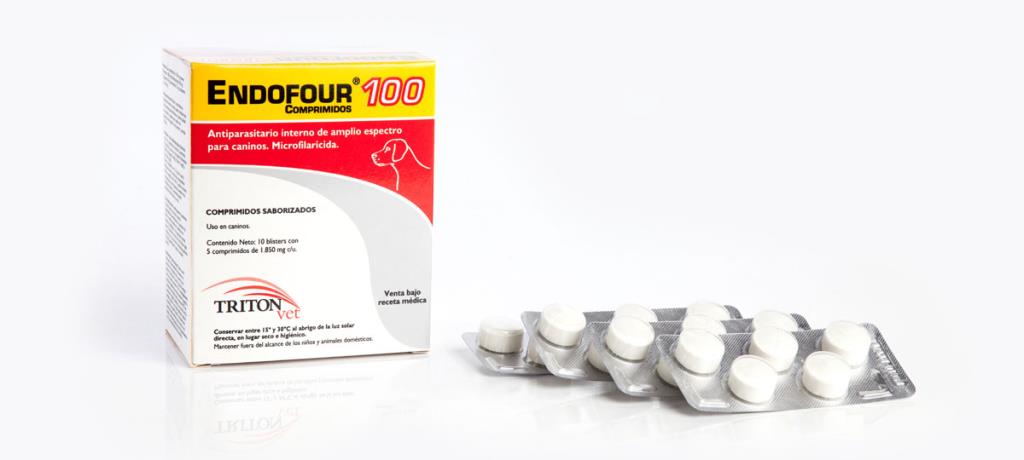 ENDOFOUR 100 x 50 comp