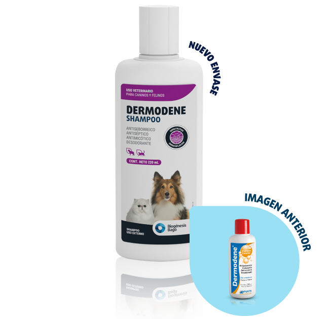 DERMODENE SHAMPOO x 220 ml
