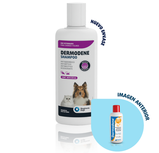 DERMODENE SHAMPOO x 220 ml