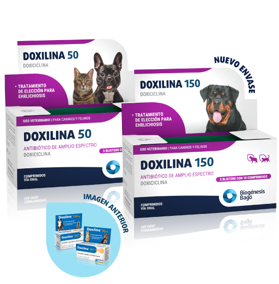 DOXILINA 50 MG x 10 comp