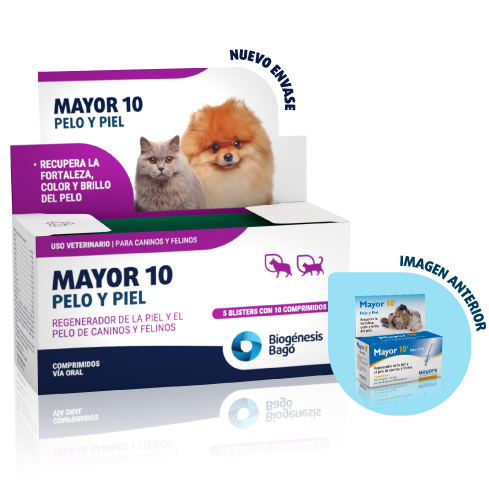 MAYOR 10 x 150 comp