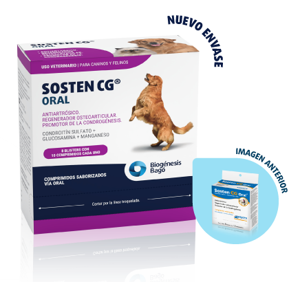 SOSTEN CG ORAL x 80 comp