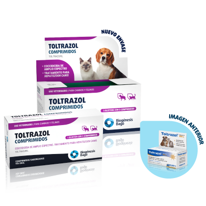 TOLTRAZOL BLISTER x 3 comp