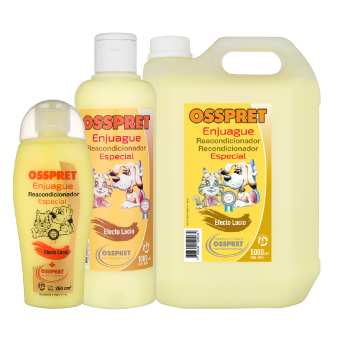 ENJUAGUE ESPECiAL (EFECTO LACIO) x 250 ml