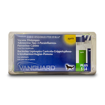 VANGUARD PLUS 5 L4