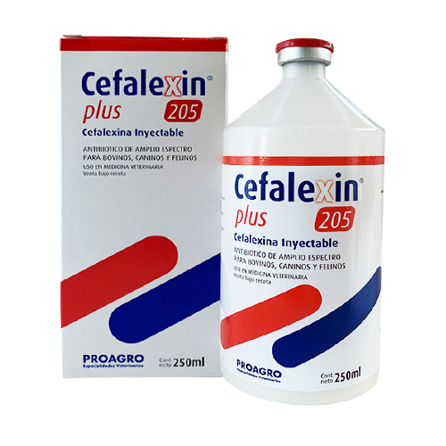 CEFALEXIN PLUS 205 x 50 ml