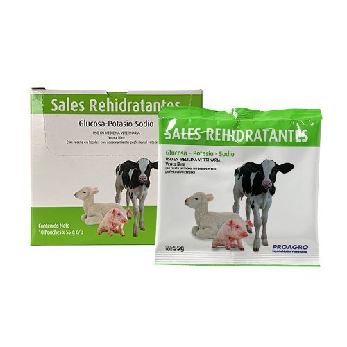 SALES REHIDRATANTES G.A. 10 sobres x 55 grs