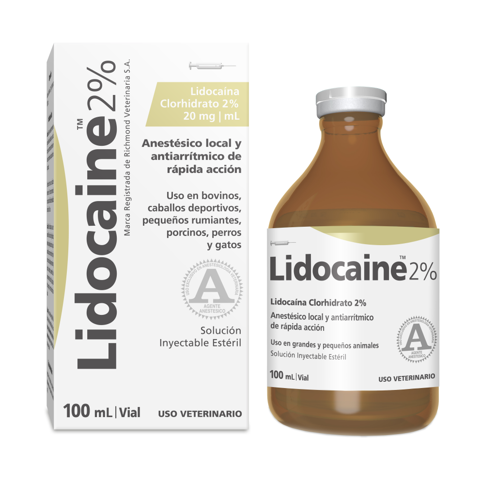 LIDOCAINE 2% x 100 ml
