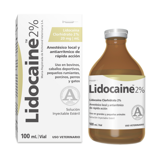 LIDOCAINE 2% x 100 ml