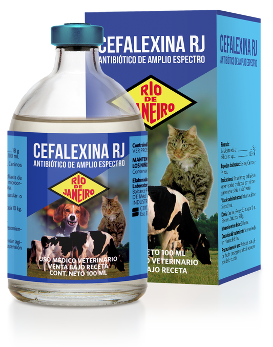 CEFALEXINA RJ x 50 ml