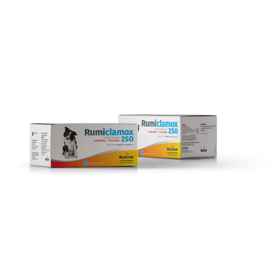 RUMICLAMOX 250 MG x 100 comp
