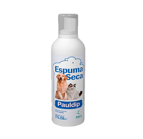 ESPUMA SECA PAULDIP x 250 ml
