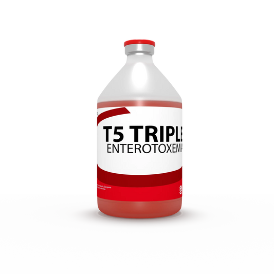 T 5 TRIPLE x 50 ds