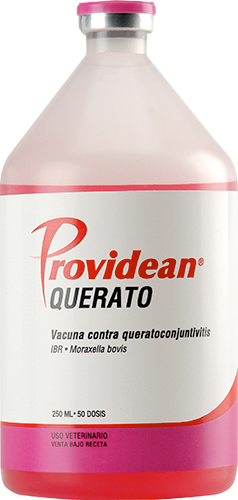 PROVIDEAN QUERATO x 50 ds