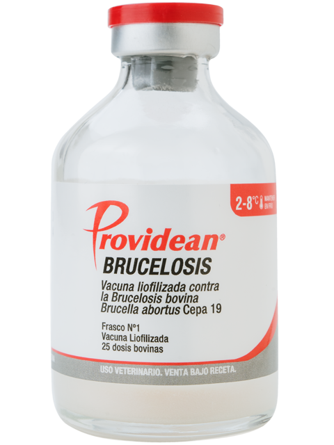 PROVIDEAN BRUCELOSIS x 25 ds