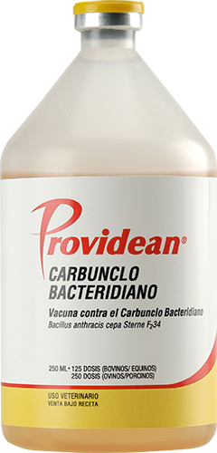 PROVIDEAN CARBUNCLO BACT x 125 ds