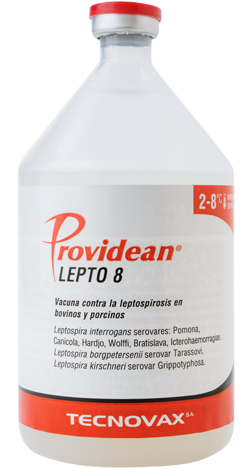PROVIDEAN LEPTO 8 x 50 ds
