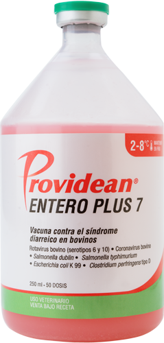 PROVIDEAN ENTERO PLUS 7 x 25 ds