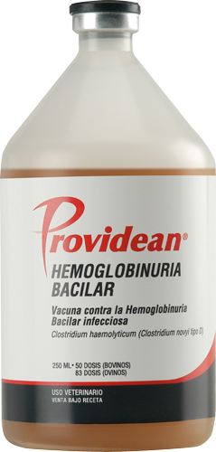 PROVIDEAN HEMOG. BACILAR x 50 ds