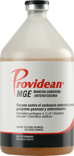 PROVIDEAN MGE  x 25 ds