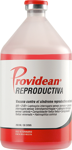 PROVIDEAN REPRODUCTIVA x 25 ds