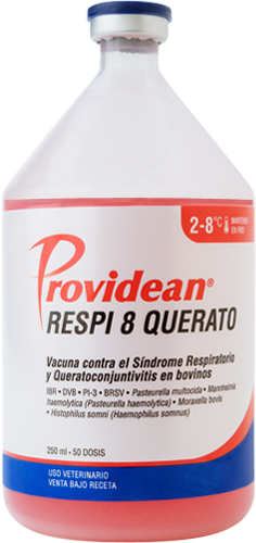 PROVIDEAN RESPI 8 QUERATO x 25 ds