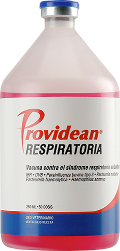PROVIDEAN RESPIRATORIA x 25 ds