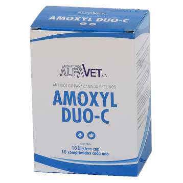 AMOXYL DUO C x 100 comp