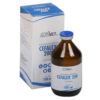 CEFALEX 200 x 100 ml