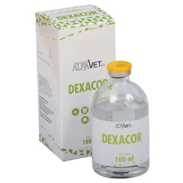 DEXACOR x 100 ml
