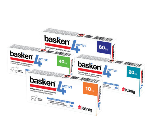 BASKEN 4 ACTIVE P. CHICO x 4 comp